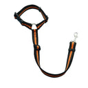 Pet Car Seat Belt with Adjustable Harness: Enhanced Safety for Dogs and Cats  ourlum.com Reflective Orange  