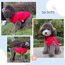 Cozy Cotton Dog Vest: Autumn/Winter Jacket for Small-Medium Pets  ourlum.com   