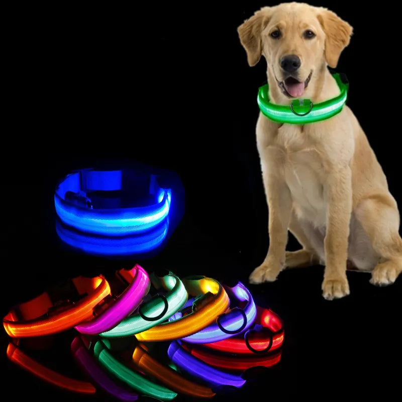 LED Dog Collar Light: High Visibility Anti-lost Night Safety Pet Accessory  ourlum.com   