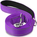 Reflective Night Dog Leash: Enhance Visibility and Safety  ourlum.com PURPLE 2.5x120cm 