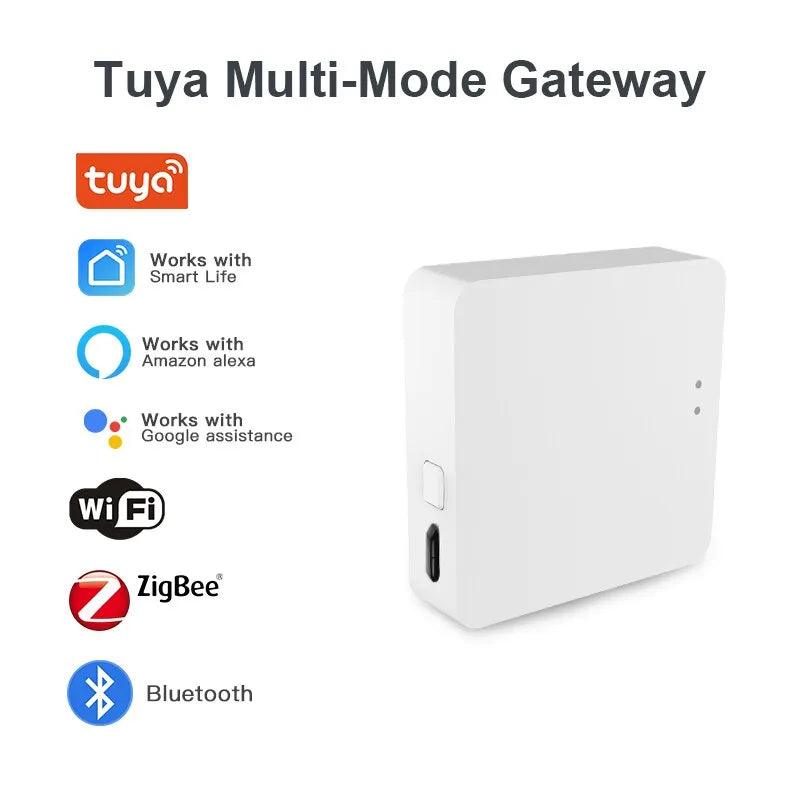 Smart Home Gateway Hub: ZigBee Bluetooth Alexa Google Home  ourlum.com   