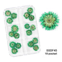 12/18Pcs/box 3D Dried Flowers Nail Art Decorations Dry Floral Bloom Stickers DIY Manicure Charms Designs For Nails Accessories  ourlum.com SSDF45  