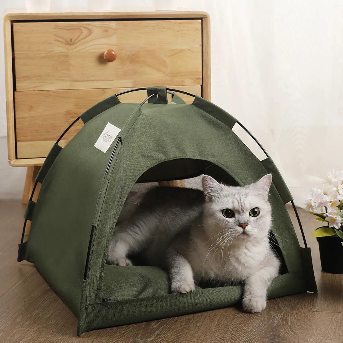 Cozy Cat Tent Bed: Warm Winter Cushions & Clamshell Design  ourlum.com   