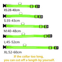 Illuminated Dog Collars: Enhanced Pet Safety & Visibility Solution  ourlum.com   