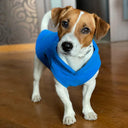 Cozy Winter Pet Clothes: Warm Fleece Dog Jacket for Small Breeds & Kittens  ourlum.com   