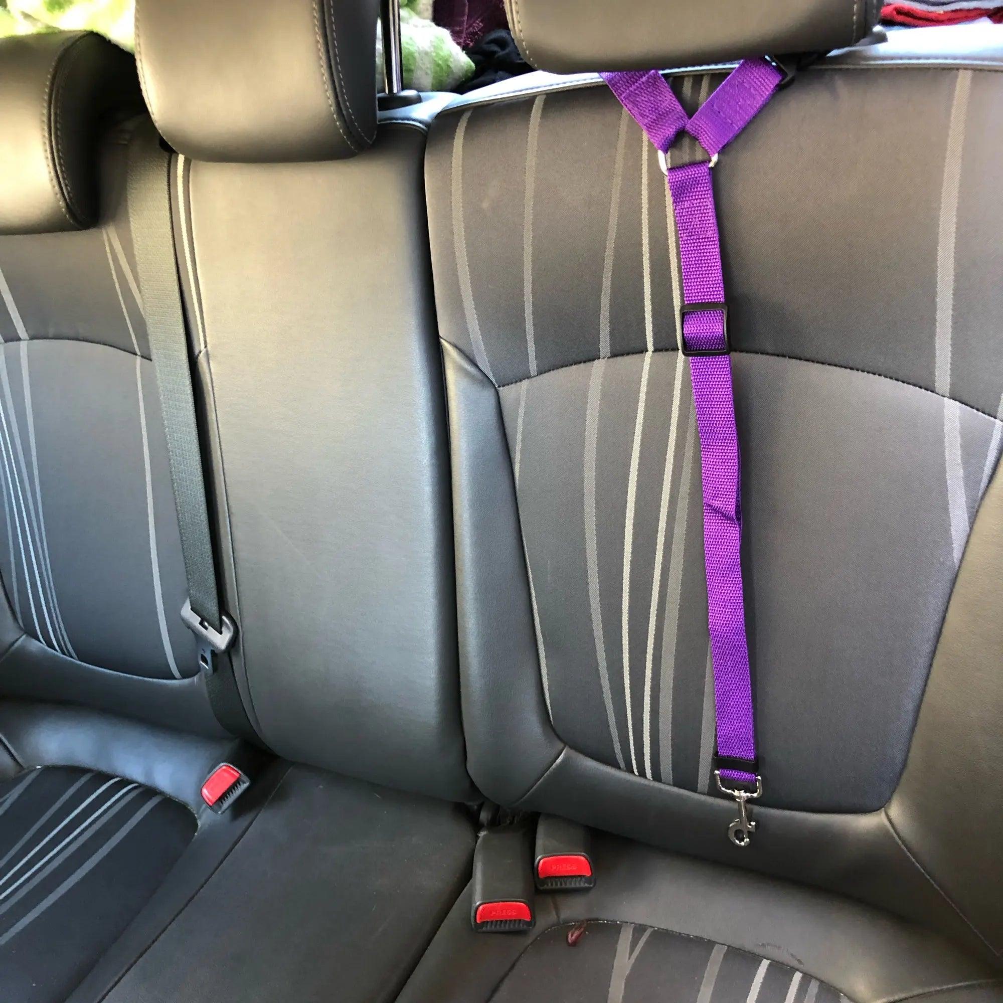 Pet Car Safety Belt with Adjustable Harness and Leash  ourlum.com   