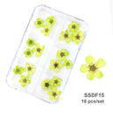 12/18Pcs/box 3D Dried Flowers Nail Art Decorations Dry Floral Bloom Stickers DIY Manicure Charms Designs For Nails Accessories  ourlum.com SSDF15  