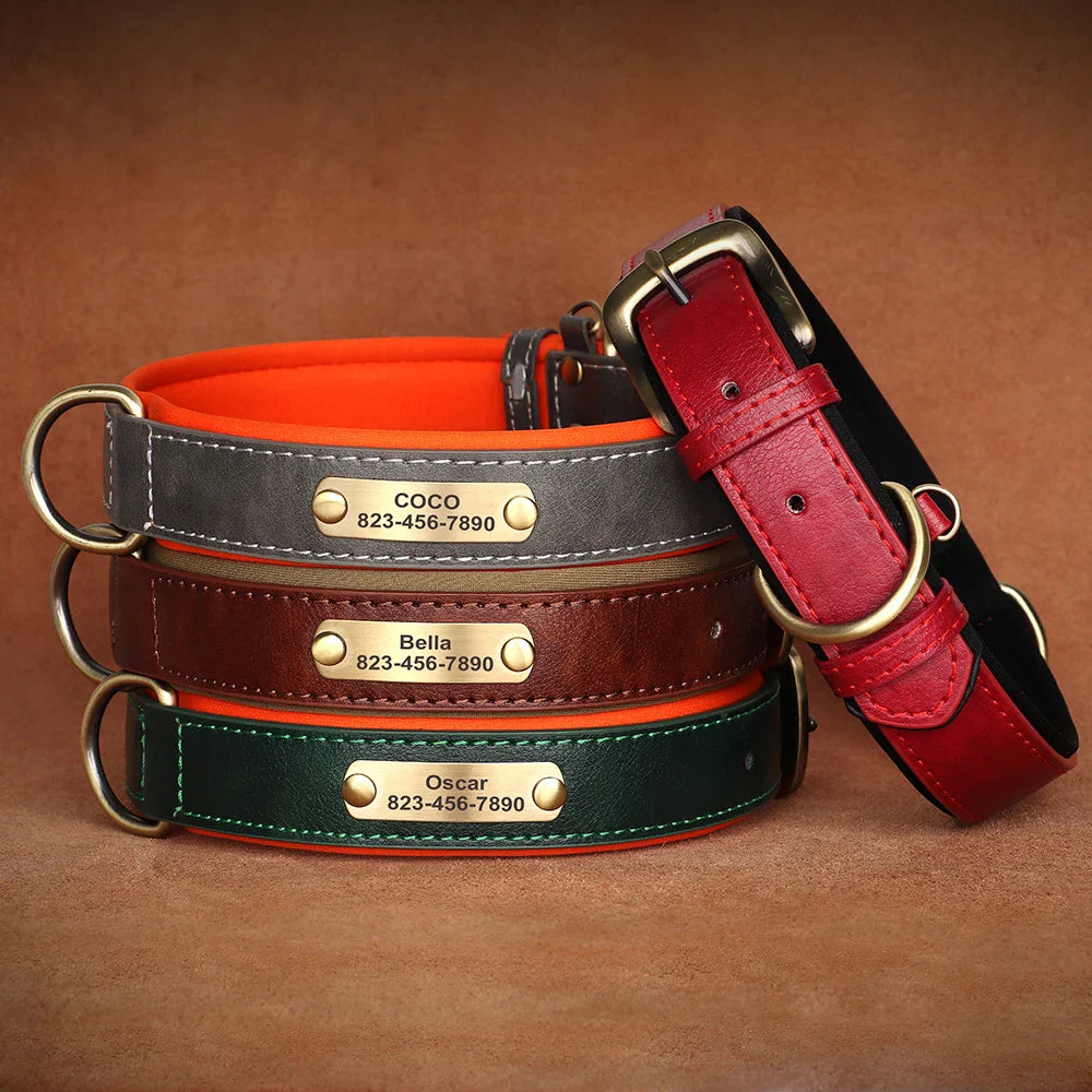 Custom Engraved Leather Dog Collar & Leash Set for Pitbulls  ourlum.com   