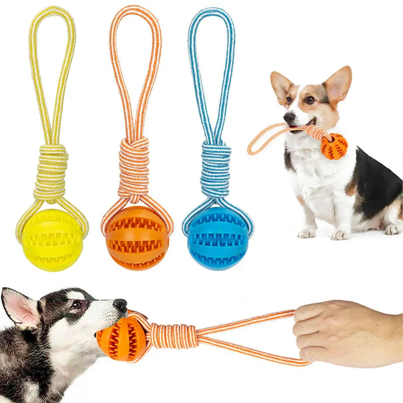 Dog Treat Balls: Interactive Rope Rubber Toys for Small Dogs Bite Resistant  ourlum.com   