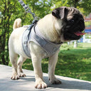 Adjustable Mesh Vest Dog Harness with Leash for Safety and Comfort in XS/S/M/L/XL Sizes  ourlum.com   