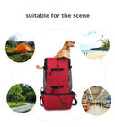 Breathable Pet Carrier Bag for Outdoor Adventures Stylish Safe