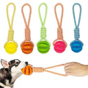 Dog Treat Balls Interactive Rope Rubber Toys for Small Dogs