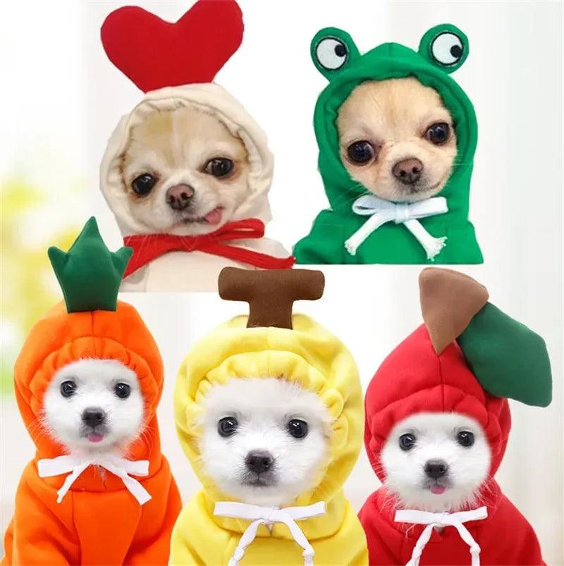 Cute Fruit Dog Hoodies: Warm Fleece Clothing for Small Dogs  ourlum.com   