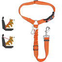 Dog Safety Belt: Professional Safety Leash for Cats and Dogs  ourlum.com Plus insert Orange  