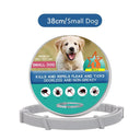 Anti-Flea Collar for Dogs and Cats: Long-Lasting Protection and Water-Resistant  ourlum.com Small Dog-38cm Box  