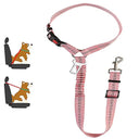 Dog Safety Belt: Professional Safety Leash for Cats and Dogs  ourlum.com Plus insert Pink  