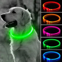 LED Lighted Pet Safety Collar: Bright, Rechargeable, Weatherproof Glow Collar  ourlum   