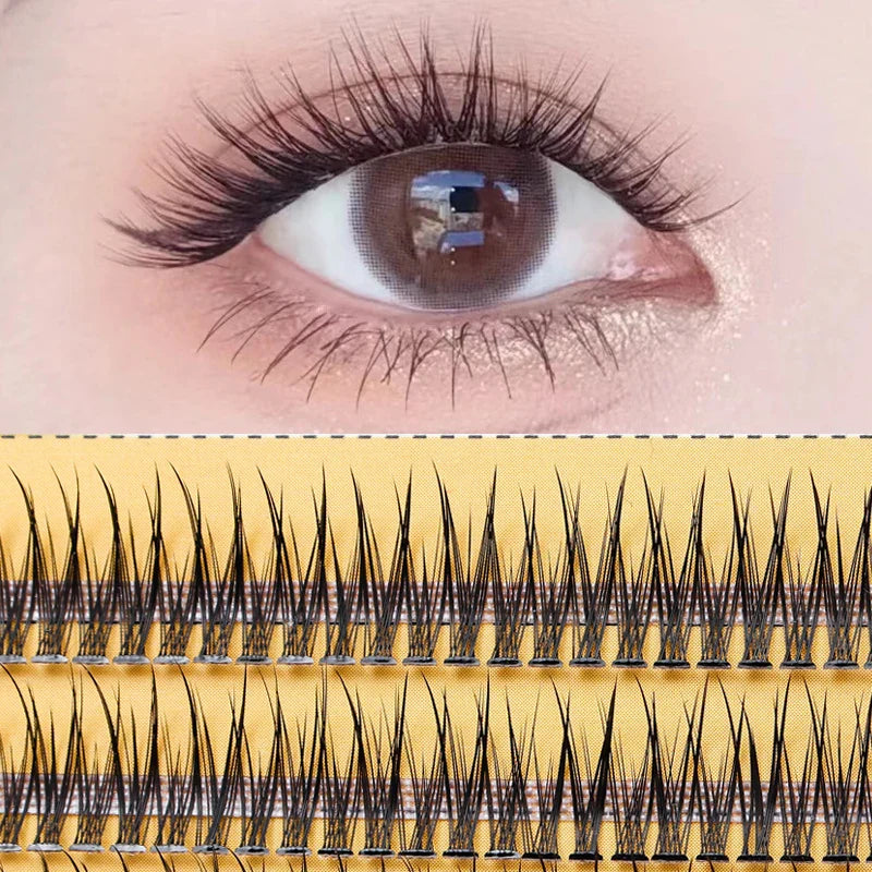 Luxe Natural False Eyelashes for Stunning Eye Transformation