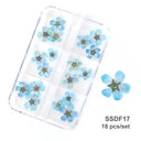 12/18Pcs/box 3D Dried Flowers Nail Art Decorations Dry Floral Bloom Stickers DIY Manicure Charms Designs For Nails Accessories  ourlum.com SSDF17  