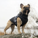 Winter-ready Dog Jacket with Zip Closure and Waterproof Coating  ourlum.com   