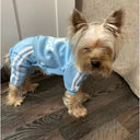 French Bulldog Puppy Jumpsuit: Stylish and Cozy Clothing for Small Dogs  ourlum.com   