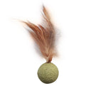 Catnip Wall Ball Cat Toy for Cats Clean Mouth Entertain Kittens