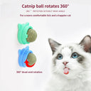 Catnip Wall Ball Cat Toy for Cats Clean Mouth Entertain Kittens