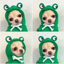 Cute Fruit Dog Clothes for Small Dogs Warm Hoodies Fleece