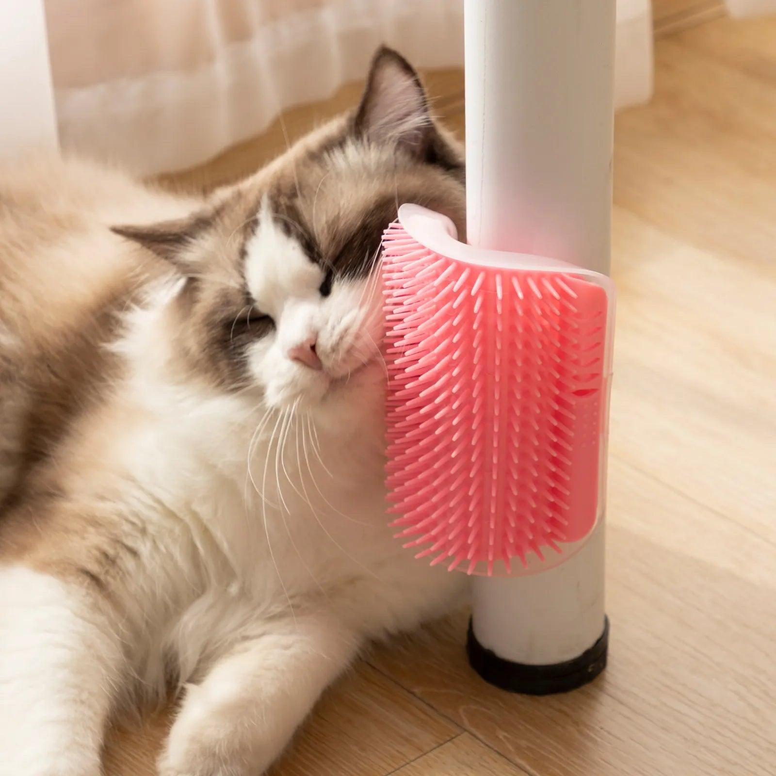 Cat Massage Comb Corner Groomer for Cats: Eco-friendly Pain-free Hair Removal Brush  ourlum.com   