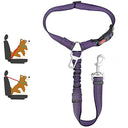 Dog Safety Belt: Professional Safety Leash for Cats and Dogs  ourlum.com Plus insert Purple  