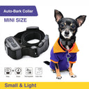 Small Dog Bark Collar with Beep & Shock Modes for Training  ourlum.com   