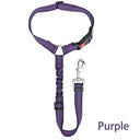 Dog Safety Belt: Professional Safety Leash for Cats and Dogs  ourlum.com Purple  