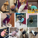 Cozy Knitted Dog Sweaters: Stay Stylish & Warm All Day Long  ourlum.com   