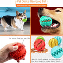 Dog Toy Ball Interactive Rubber Balls for Chewing Fun