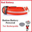 LED Light Up Dog Collar: Customizable Night Safety, Waterproof, Multiple Flash Modes  ourlum.com Red Button Battery XS Neck 28-38 CM United State