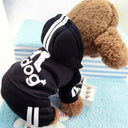 Small Dog Autumn Winter Warm Cotton Coat Jacket Outfit  ourlum.com Black XS 