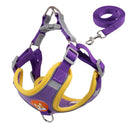 Pet Dog Harness and Leash Set for Small Dogs with Reflective Safety