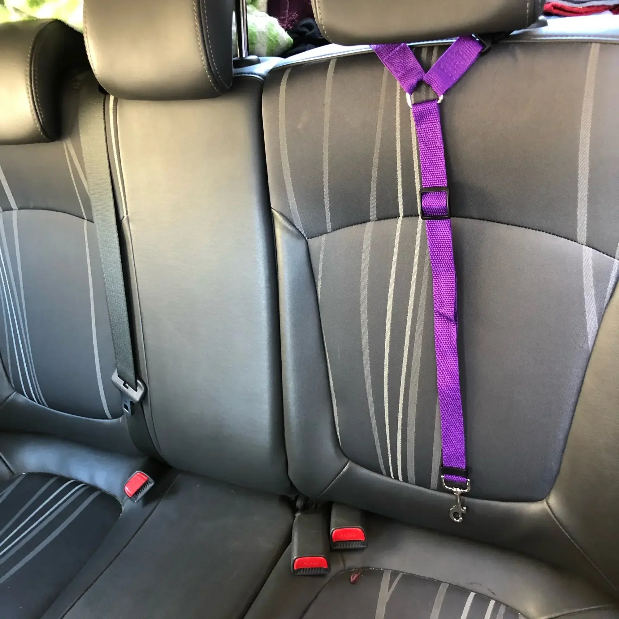 Pet Car Seat Belt with Adjustable Harness: Enhanced Safety for Dogs and Cats  ourlum.com   
