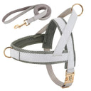 Leather Dog Collar Harness Leash Set: Personalized Stylish Vest for Dogs  ourlum.com Gray Set XS 