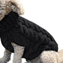 Winter Pet Sweater: Stylish High Collar Solid Color Design - XS to XL  ourlum.com Black XS 