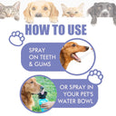 Oral Care Spray for Pets Freshen Breath and Whiten Teeth