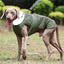 Cozy Luxury Winter Jacket for Dogs: Waterproof, Padded, Warm & Reflective  ourlum.com   