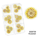 12/18Pcs/box 3D Dried Flowers Nail Art Decorations Dry Floral Bloom Stickers DIY Manicure Charms Designs For Nails Accessories  ourlum.com SSDF39  