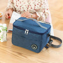 Fresh & Stylish Insulated Lunch Bag Waterproof Oxford Cloth