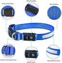 LED Dog Collar: Stay Visible & Safe at Night with USB Rechargeable Lights  ourlum.com   