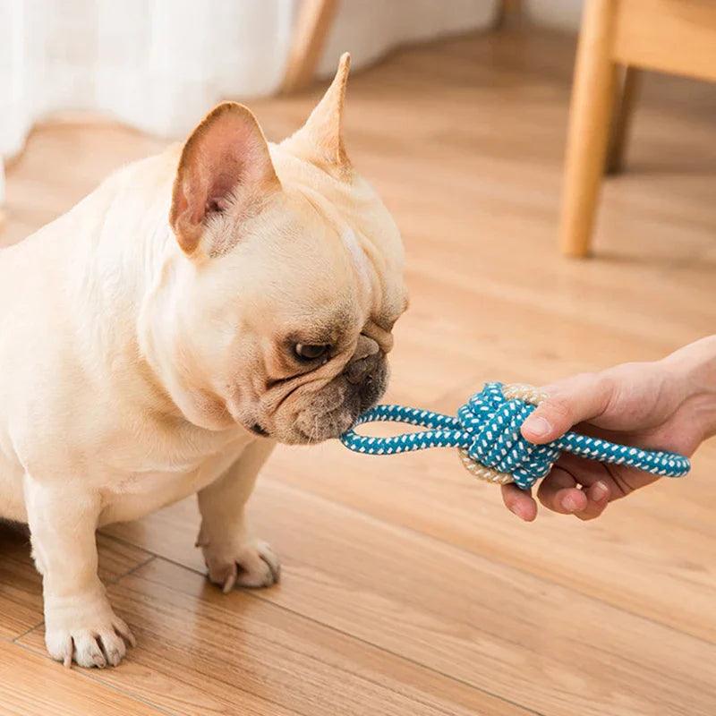 Cotton Rope Dog Toy: Colorful Teething Chew for Small Medium Dogs  ourlum.com   