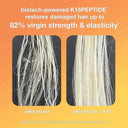 K18Peptide Hair Repair Ultimate Solution to Restore Transform