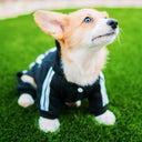 French Bulldog Chihuahua Pug Pet Jumpsuit: Stylish Puppy Outfit  ourlum.com   