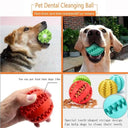 Rubber Dog Ball Dental Chew Toy Eco-Friendly Snack Dispenser