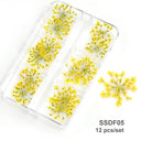 12/18Pcs/box 3D Dried Flowers Nail Art Decorations Dry Floral Bloom Stickers DIY Manicure Charms Designs For Nails Accessories  ourlum.com SSDF05  